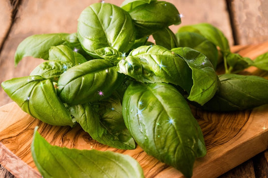 Genovese Basil - 2 oz